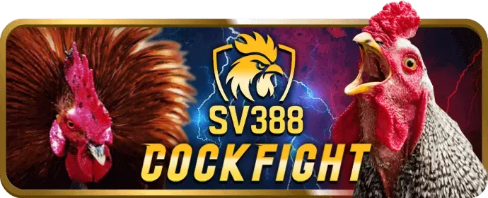 Ưu đãi VIP đá gà 68wwin